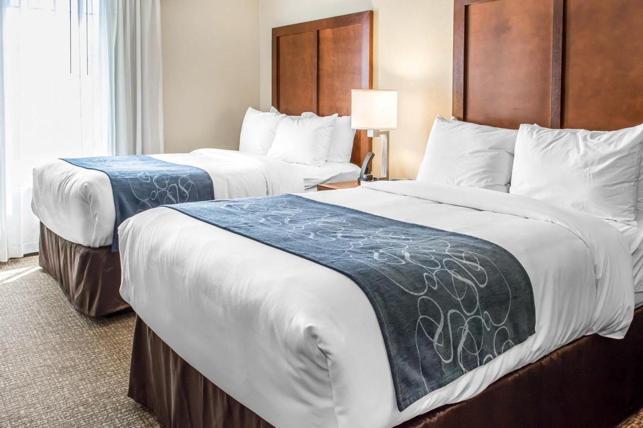 Comfort Suites Near Potomac Mills Woodbridge Dış mekan fotoğraf