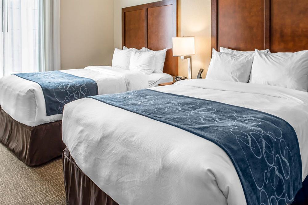 Comfort Suites Near Potomac Mills Woodbridge Dış mekan fotoğraf